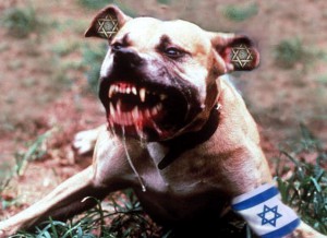 Israel must be like a mad dog, too dangerous to bother.  Israeli General Moshe Dayan 